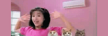 东芝，没了！(图3)